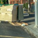 Illegal dumping